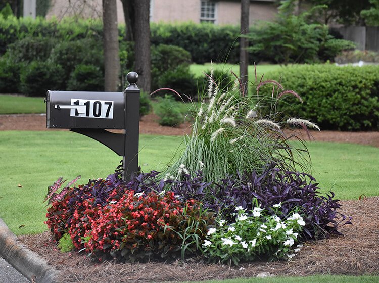 Understanding Random Address Generators Powers Private Testing and Development